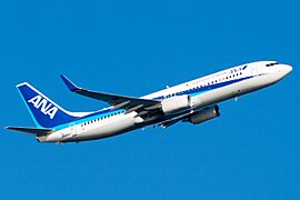 All Nippon Airways Boeing 737-800 (JA86AN) at Tokyo Haneda Airport