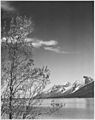 Ansel Adams - National Archives 79-AA-G03