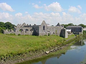 Askeaton Friary from NW