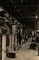 BASA-2072K-1-321-17-Rose oil factory, Bulgaria