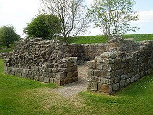 Banks East Turret, Hadrian's Wall. - geograph.org.uk - 848200