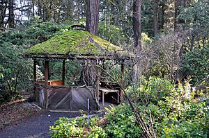 An open-air, octagonal shelter made of wood sits along a gravel path in a dense forest. The shelter, which has a moss-covered roof, is surrounded by shrubs and bushes as well as trees with trunks up to two feet (0.6 meters) in diameter.