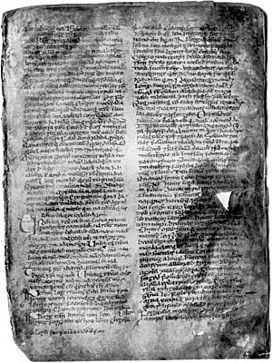 Book of Leinster Facsimilepage55