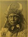 Bull Chief
