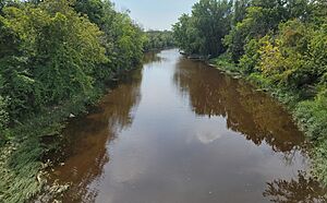 Carignan (Québec)-Rivière l'Acadie-Vue vers l'amont du pont de la route 112 reliant Chambly et Carignan-2022-08-29