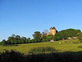 The Château de Ballon