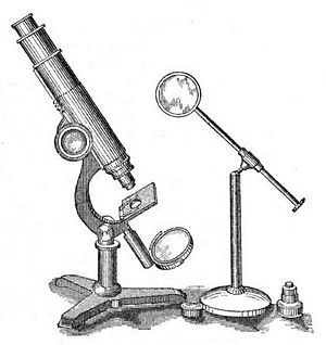 Compound Microscope 1876
