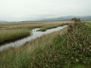 Cors Fochno Aberleri Nature Reserve