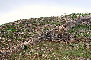 Cyclopian wall, Rajgir. (5457385482) (cropped)