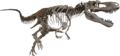 Daspletosaurus-Triebold-800px