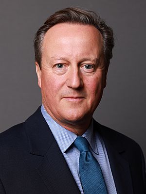 Official portrait of Cameron as Foreign Secretary