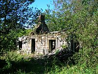 Davies o'the Mill ruins