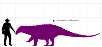 Denversaurus schlessmani scale.png
