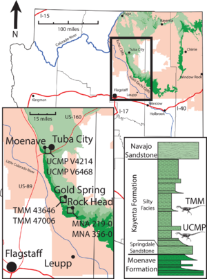 Dilophosaurus localities in northern Arizona