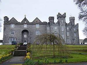 Donamon Castle front