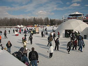 Dows Lake in winter by Wilder