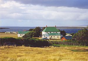 East-Falkland