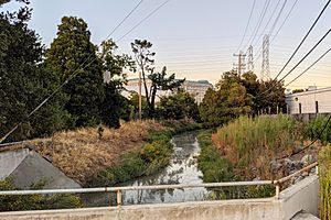 Easton Creek at Rollins Rd.jpg