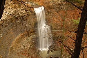 Felker's Falls - panoramio.jpg