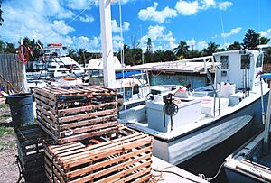Fish0933 - Flickr - NOAA Photo Library