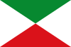 Flag of Pajarón