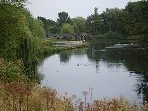 Fordbridge - Meriden Park Lake