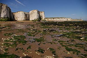 Foreness Point from Botany Bay (low tide) - geograph.org.uk - 248364