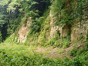 Former Bargate stone quarry, Holloway Hill, Godalming, Surrey