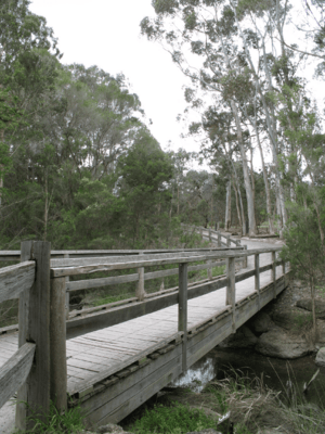 Friends Bridge Blackburn Lake