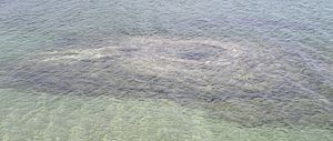 Geyser cone under water at West Thumb Geyser Basin