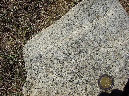 Granodiorite fine-grained