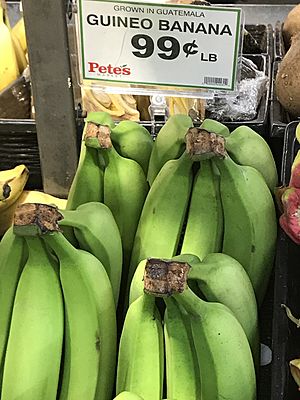 Guineo banana 99¢ lb B