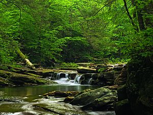 Heberly Run