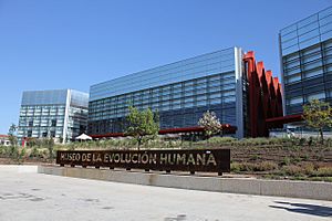 Human Evolution Museum
