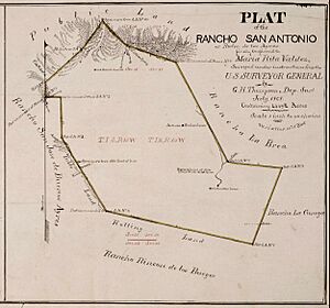 Huntington Library SR Map 0132 Rancho Rodeo de las Aguas 1868 plat map