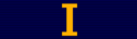 Intel ISEF Finalist Medal Ribbon.png