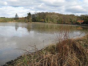 Just 'The Lake' - geograph.org.uk - 1165461.jpg