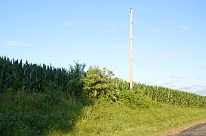 Larson Site from the road