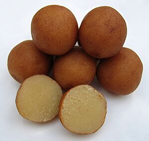 Lebensmittel-Marzipan1-Asio