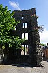 Limerick, Fanning's Castle (1).jpg