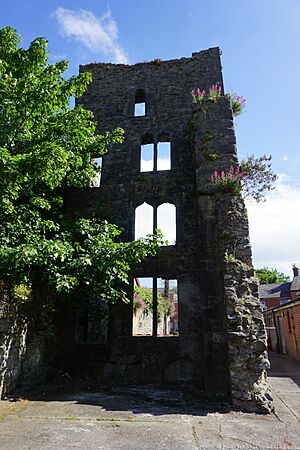 Limerick, Fanning's Castle (1)