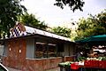 Mataro-PiC-Rengle-6708