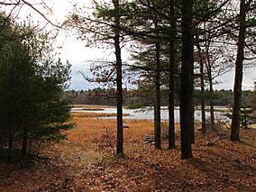 Middle Pond, Massasoit State Park, Taunton MA.jpg