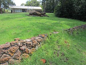 Mittagong Mineral Springs Reserve Jan 2019 - New Spring Ooze