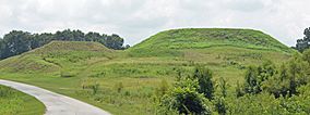 Mounds at Ocmulgee National Monument, Bibb County, GA, US.jpg