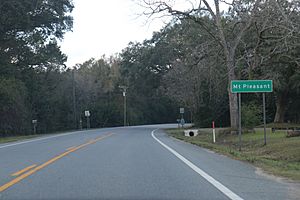 Mt Pleasant FL Sign US90