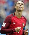 New Zealand-Portugal (20)