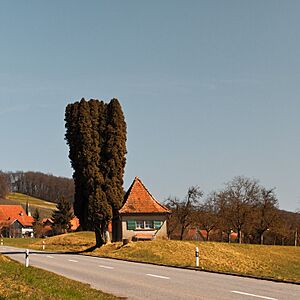 Niederneunforn Village