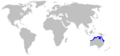Orectolobus wardi distmap