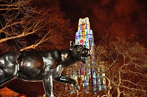 PantherandCathedralLightUP
